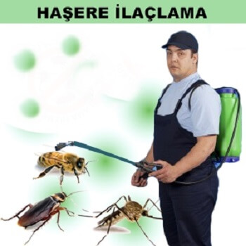 Muş Böcek İlaçlama